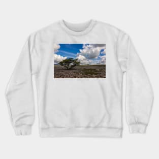 Lone Tree At Ingleton Crewneck Sweatshirt